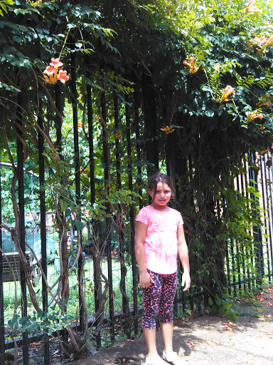 Antique Store «Downtown Antiques Mall», reviews and photos, 1 Court Square, West Plains, MO 65775, USA