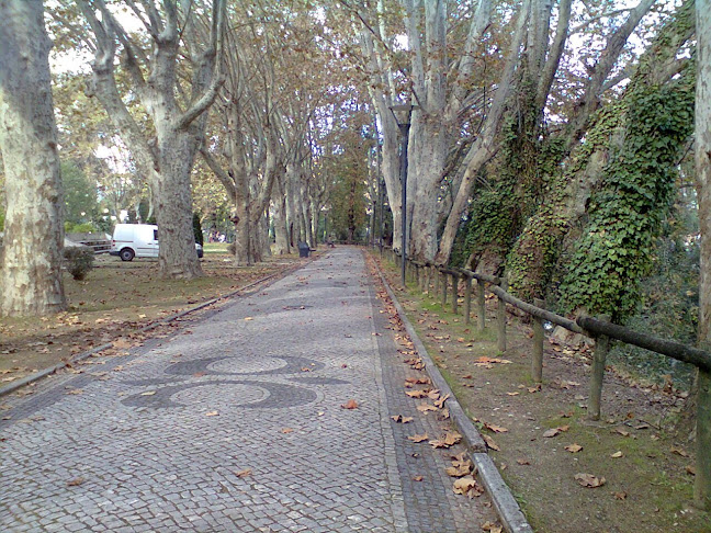 Avaliações doÓptica Terraços Do Liz Lda. em Leiria - Ótica