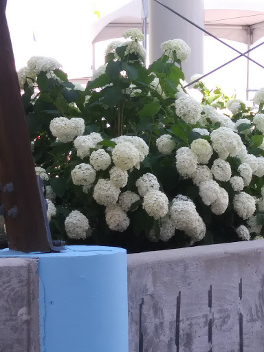 Water Park «Water Wizz of Cape Cod», reviews and photos, 3031 Cranberry Hwy, East Wareham, MA 02538, USA