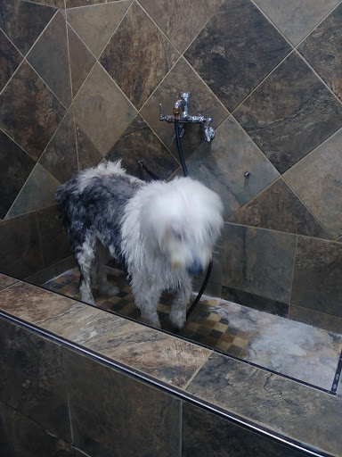 Pet Store «Pet Valu», reviews and photos, 99 E Main Rd, Middletown, RI 02852, USA