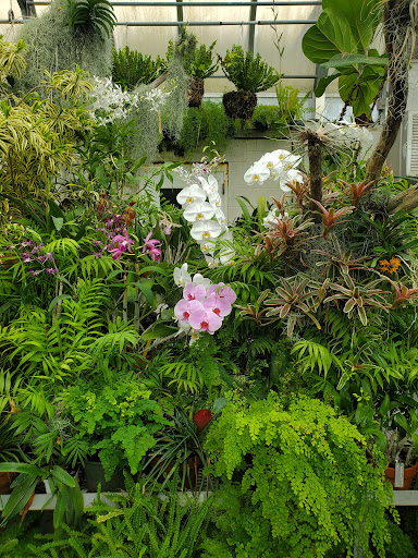 Heritage Museum «Hillwood Estate, Museum & Gardens», reviews and photos, 4155 Linnean Ave NW, Washington, DC 20008, USA