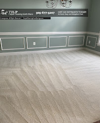 Tulip Carpet Cleaning North Miami - Photo 3 - Car repair in , Miami
