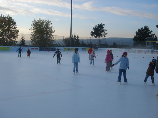 Eislaufschule Wallisellen