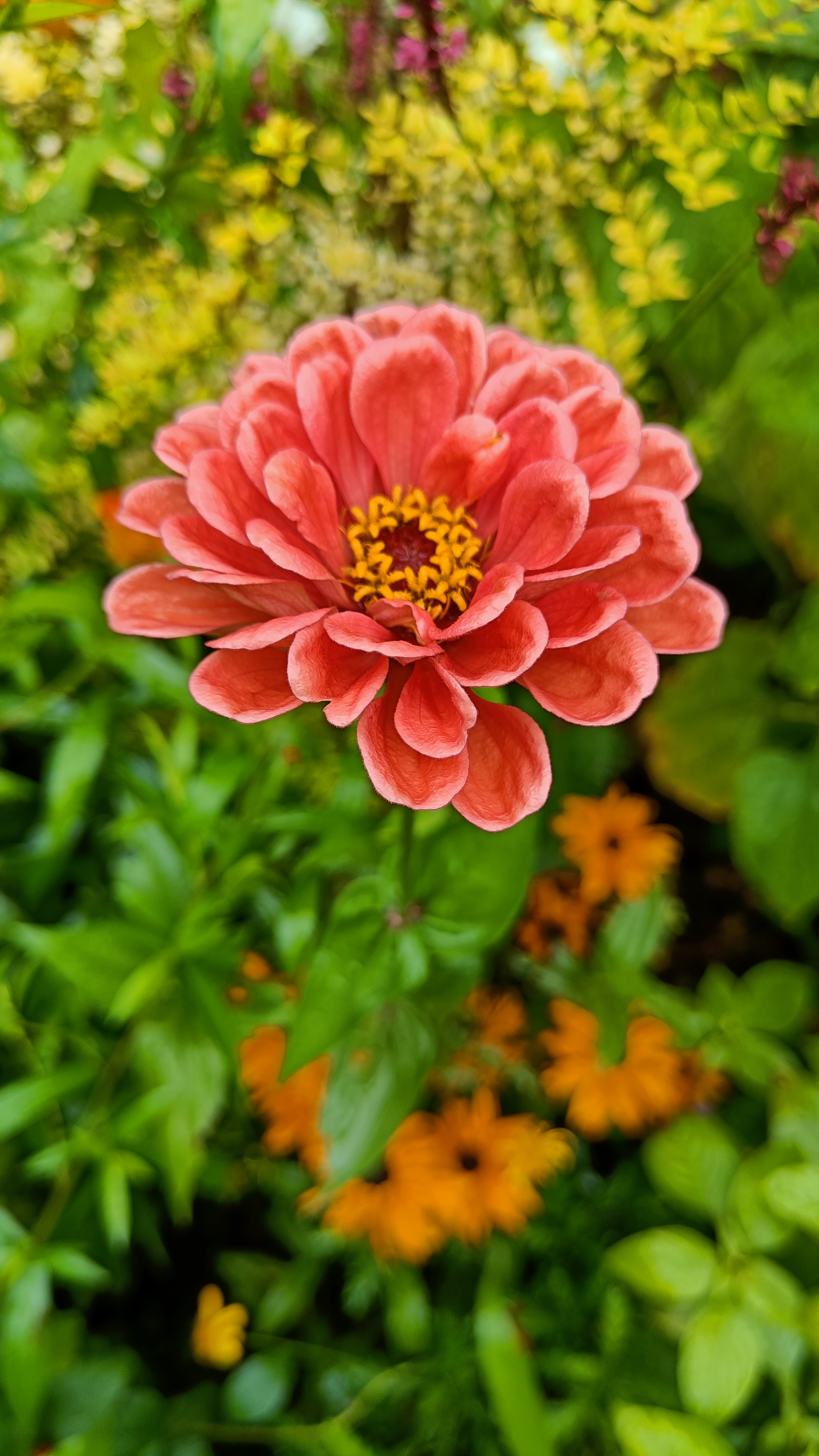 Photo n° 1 de l'avis de Eliot.o fait le 28/07/2023 à 16:35