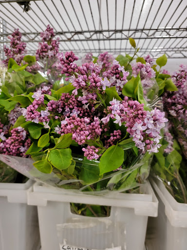 Florist «Botanica Wholesale Florist», reviews and photos, 3208 International Pl, Irving, TX 75062, USA