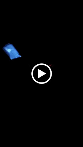 Shopping Mall «Innsbruck Mall», reviews and photos, 85 Tunnel Rd #40, Asheville, NC 28805, USA