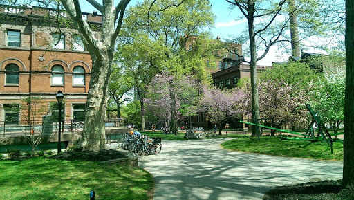 Private University «Pratt Institute», reviews and photos