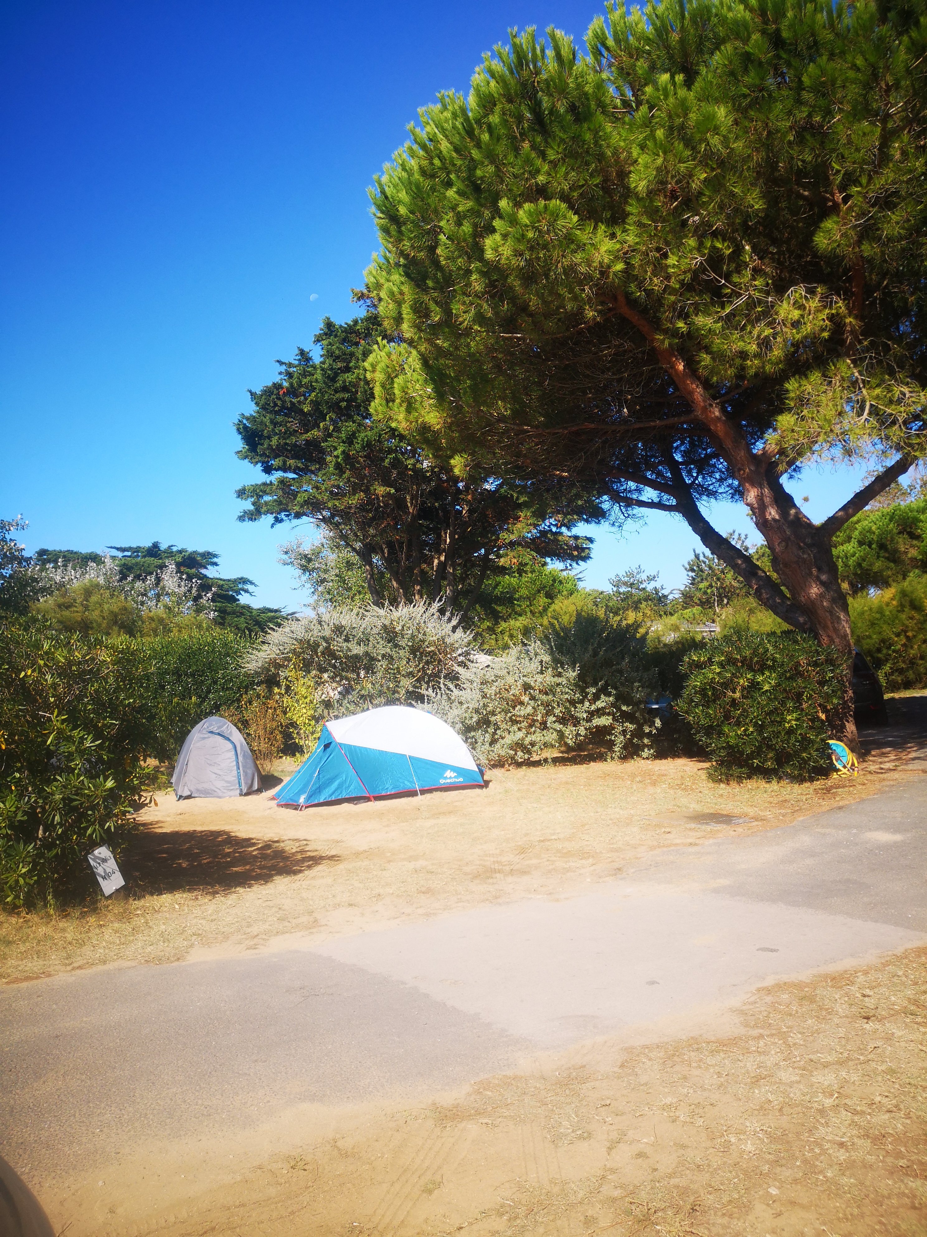 Photo n° 4 de l'avis de Muyli.e fait le 03/09/2021 à 15:42