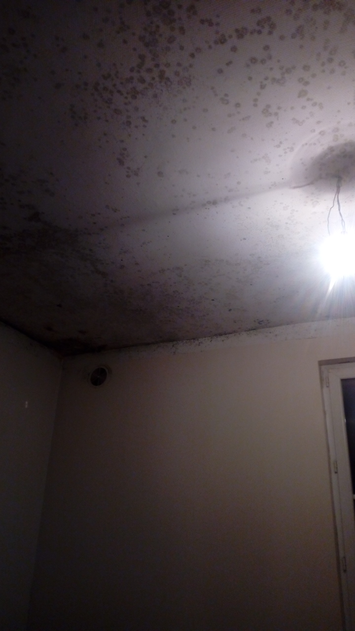 Photo n° 1 de l'avis de Afif.h fait le 15/01/2020 à 20:51