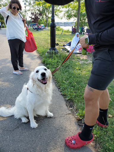 Park «Little Bay Park», reviews and photos, Cross Island Pkwy, Whitestone, NY 11357, USA