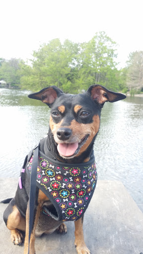 Art Museum «The Parthenon», reviews and photos, 2500 West End Ave, Nashville, TN 37203, USA