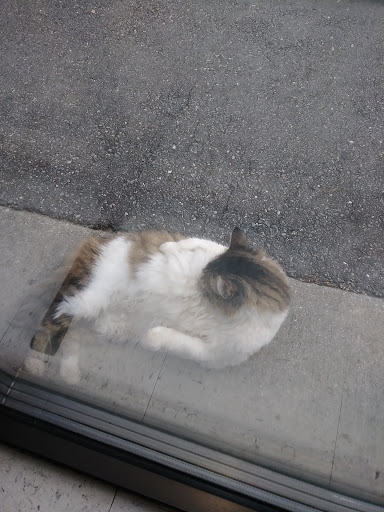 Car Repair and Maintenance «Pep Boys Auto Service & Tire», reviews and photos, 883 Dogwood Rd, Lawrenceville, GA 30044, USA