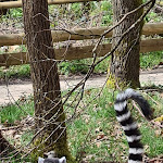 Photo n°1 de l'avis de Markus.t fait le 07/04/2024 à 17:46 sur le  Tier-Erlebnispark Bell à Bell