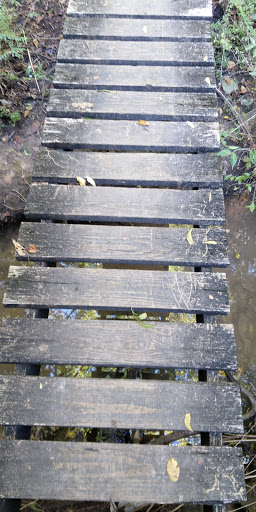 Nature Preserve «Oak Cliff Nature Preserve», reviews and photos, 2875 Pierce Street, Dallas, TX 75233, USA