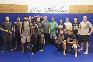 Tru Bloodline MMA & Fitness image