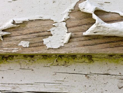 Painter «CertaPro Painters of Rehoboth, DE», reviews and photos, 21810 D St, Rehoboth Beach, DE 19971, USA