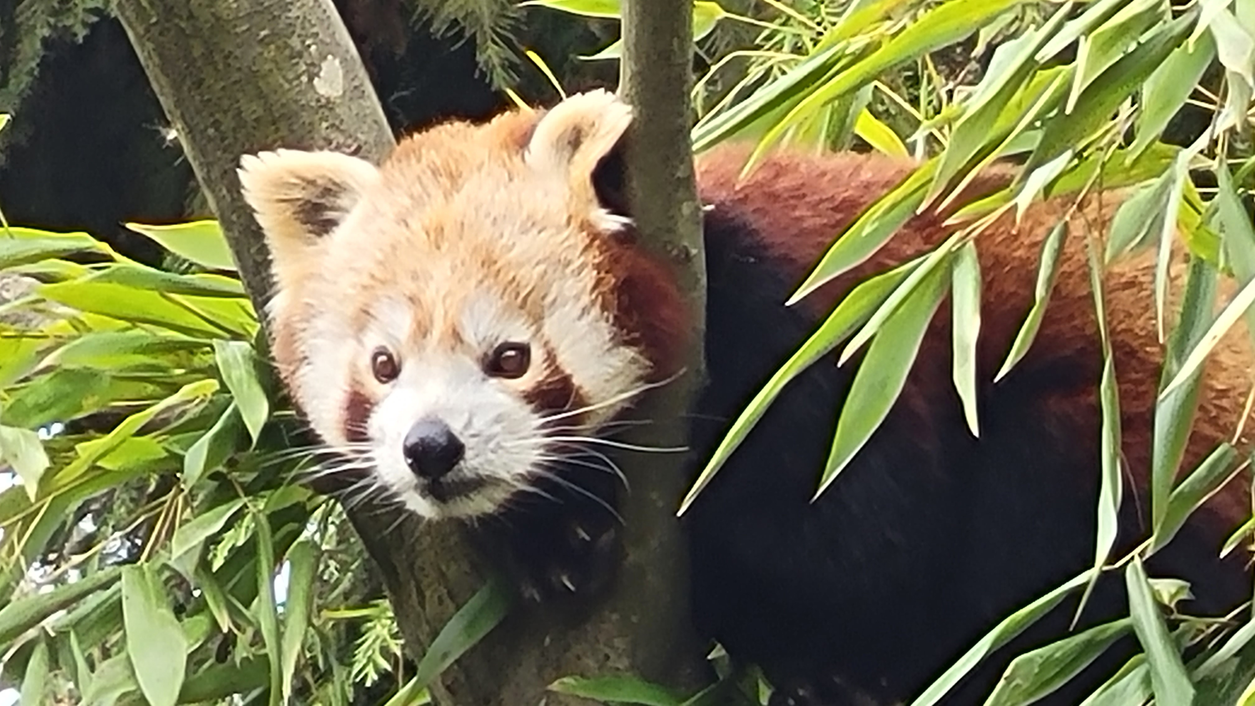 Photo n° 2 de l'avis de Pascal.i fait le 23/03/2023 à 21:02