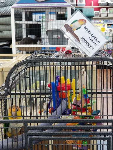 Pet Supply Store «Pet Supermarket», reviews and photos, 501 Cypress Gardens Blvd, Winter Haven, FL 33880, USA