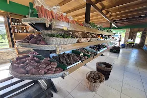 Colesome Farmers Market image