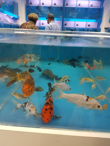 Aquarium «Aquarama Inc», reviews and photos, 2151 NW 27th Ave, Miami, FL 33142, USA