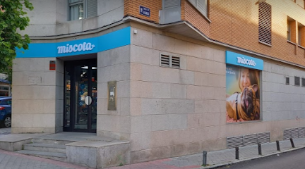 Miscota - Servicios para mascota en Madrid