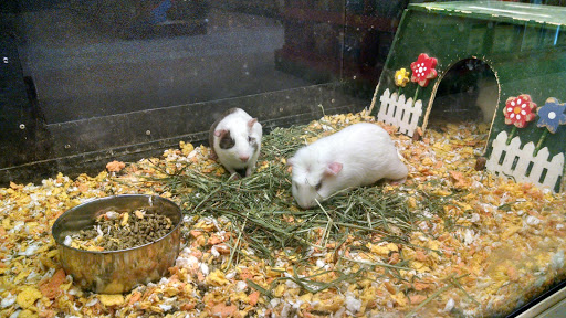 Pet Supply Store «PetSmart», reviews and photos, 2510 Berryhill Rd, Montgomery, AL 36117, USA