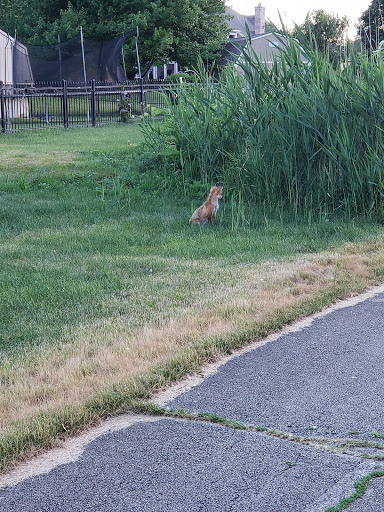Park «Leiseberg Park», reviews and photos, 285 E Devon Ave, Bartlett, IL 60103, USA