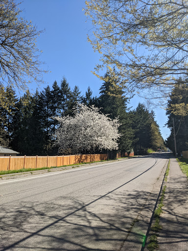 Golf Course «Brae Burn Golf Course», reviews and photos, 2409 182nd Ave NE, Redmond, WA 98052, USA