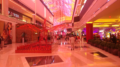 Tourist Attraction «Vegas Indoor Skydiving», reviews and photos, 200 Convention Center Dr, Las Vegas, NV 89109, USA