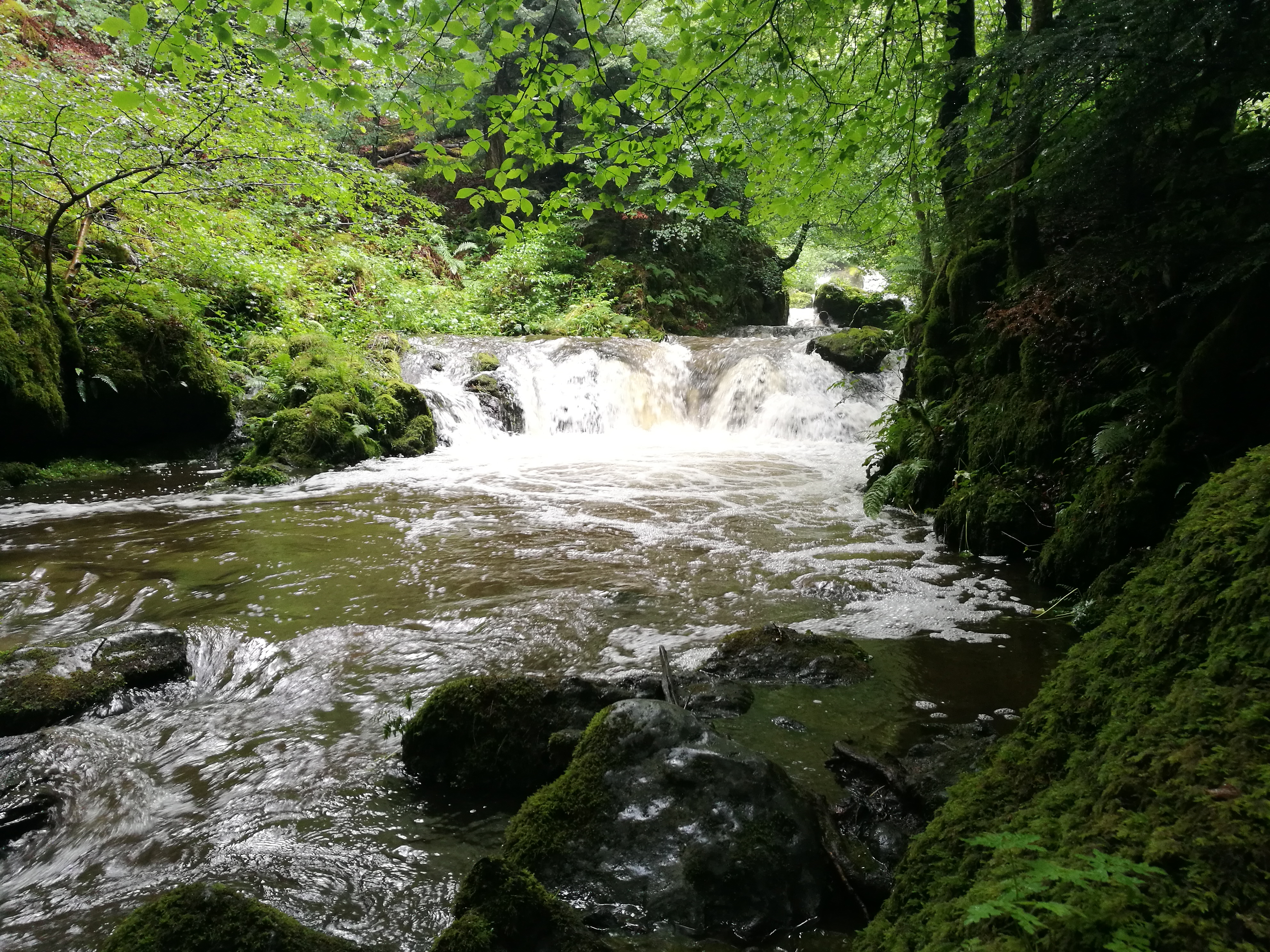 Photo n° 2 de l'avis de Jonathan.i fait le 30/06/2017 à 16:25