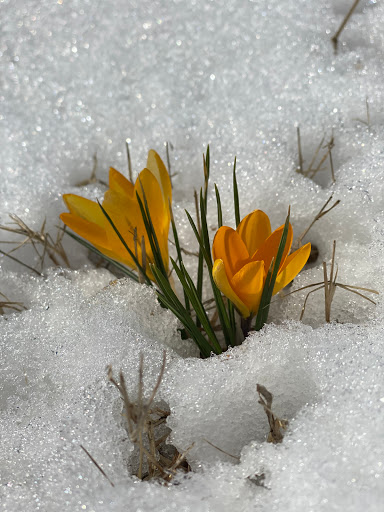 Law Firm «Ozment Law», reviews and photos