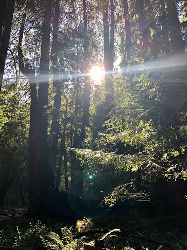 Travel Agency «Take Time To Travel», reviews and photos, 323 E Main St, Cartersville, GA 30120, USA