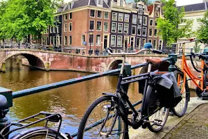 Omy Amsterdam Tours image