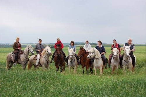 Centre équestre Camargue Equitation Loisirs en Nièvre Cosne-Cours-sur-Loire