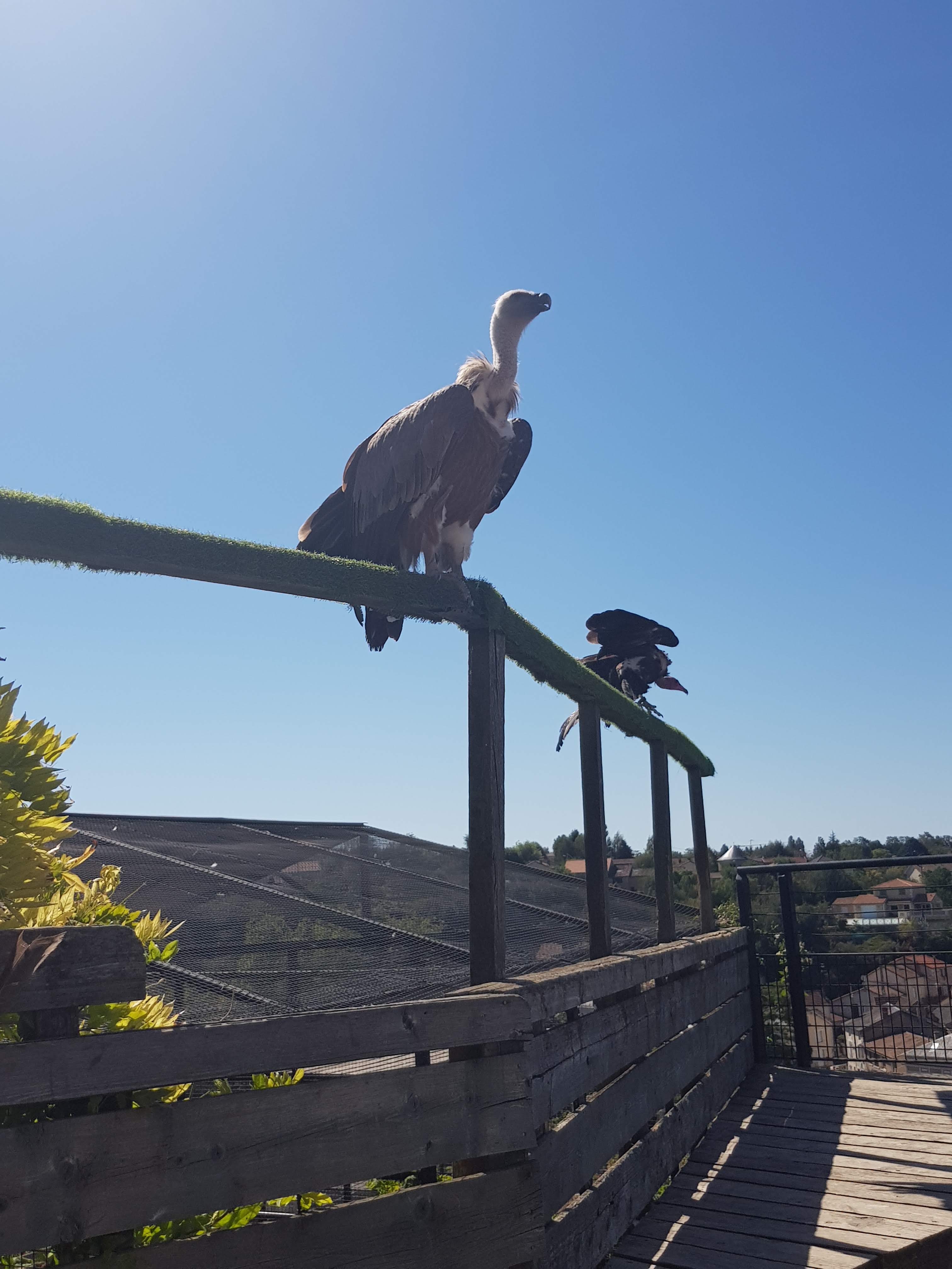 Photo n° 10 de l'avis de La.� fait le 10/08/2022 à 18:06