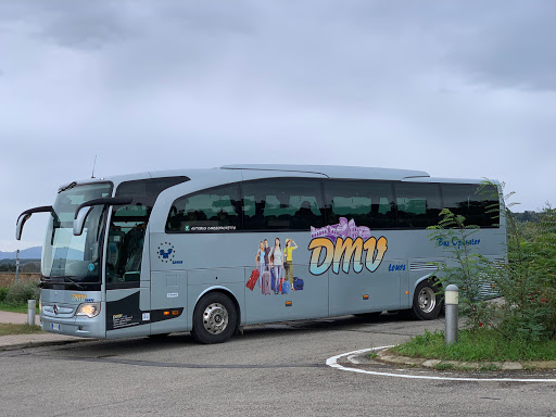 D.m.v. Tours snc Bus Operator -