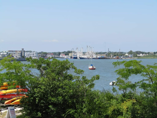 Nature Preserve «Nature Center of Cape May», reviews and photos, 1600 Delaware Ave, Cape May, NJ 08204, USA