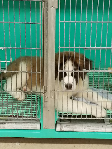 Pet Supply Store «Pet Palace Inc», reviews and photos, 253 Scranton Carbondale Hwy, Scranton, PA 18508, USA