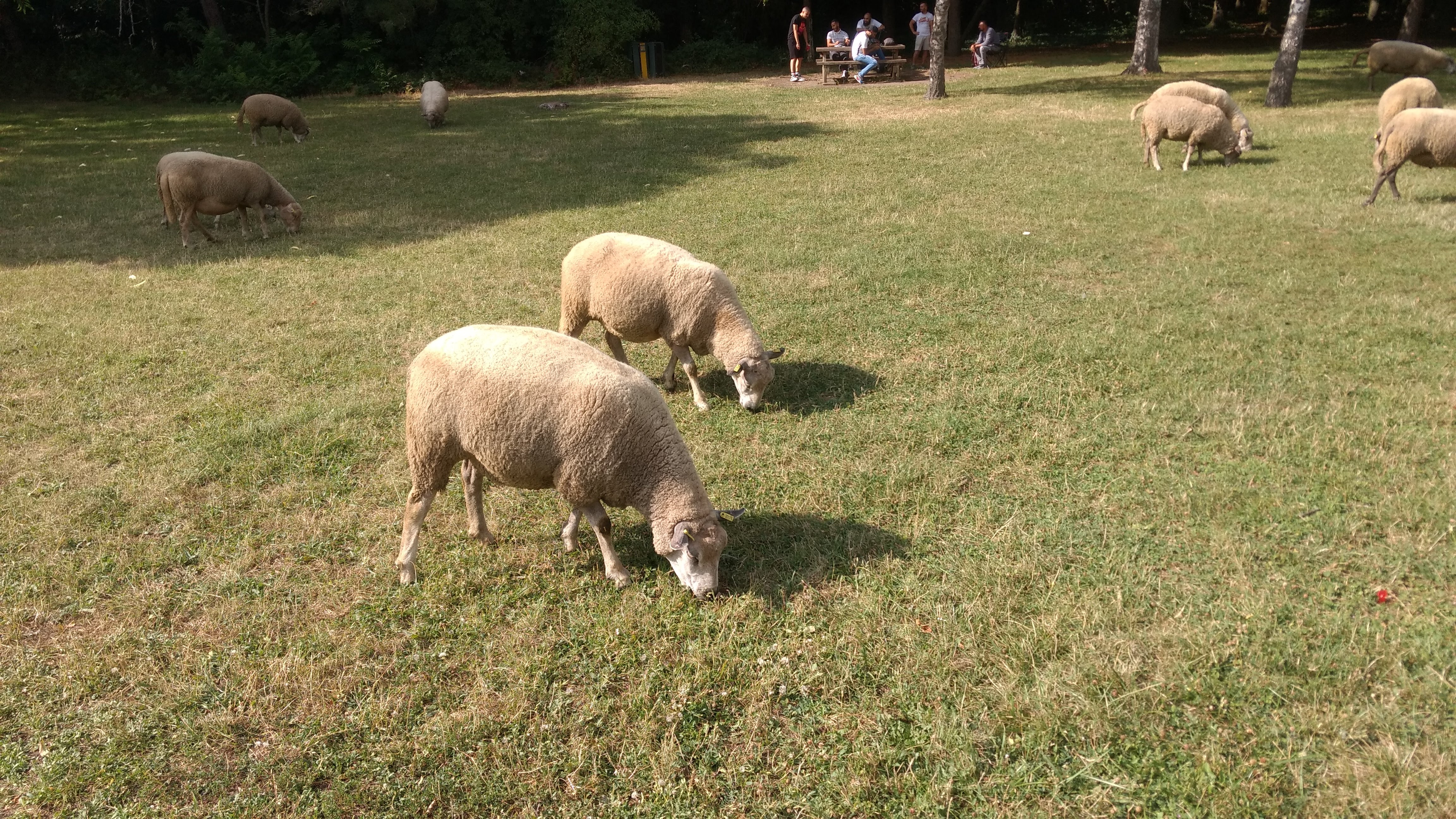 Photo n° 1 de l'avis de francis.l fait le 21/10/2017 à 12:45