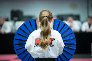 Kick Masters Karate LLC image
