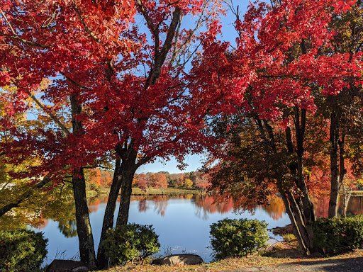 Convenience Store «Mill Pond Country Store», reviews and photos, 220 East St, Stafford Springs, CT 06076, USA