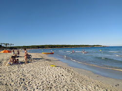 Foto di Playa de Sa Coma con molto pulita livello di pulizia