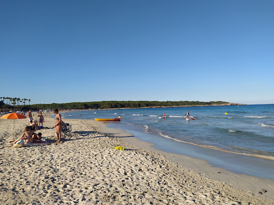 Playa de Sa Coma