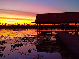 สวนบัว ทองกนก