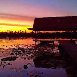 สวนบัว ทองกนก