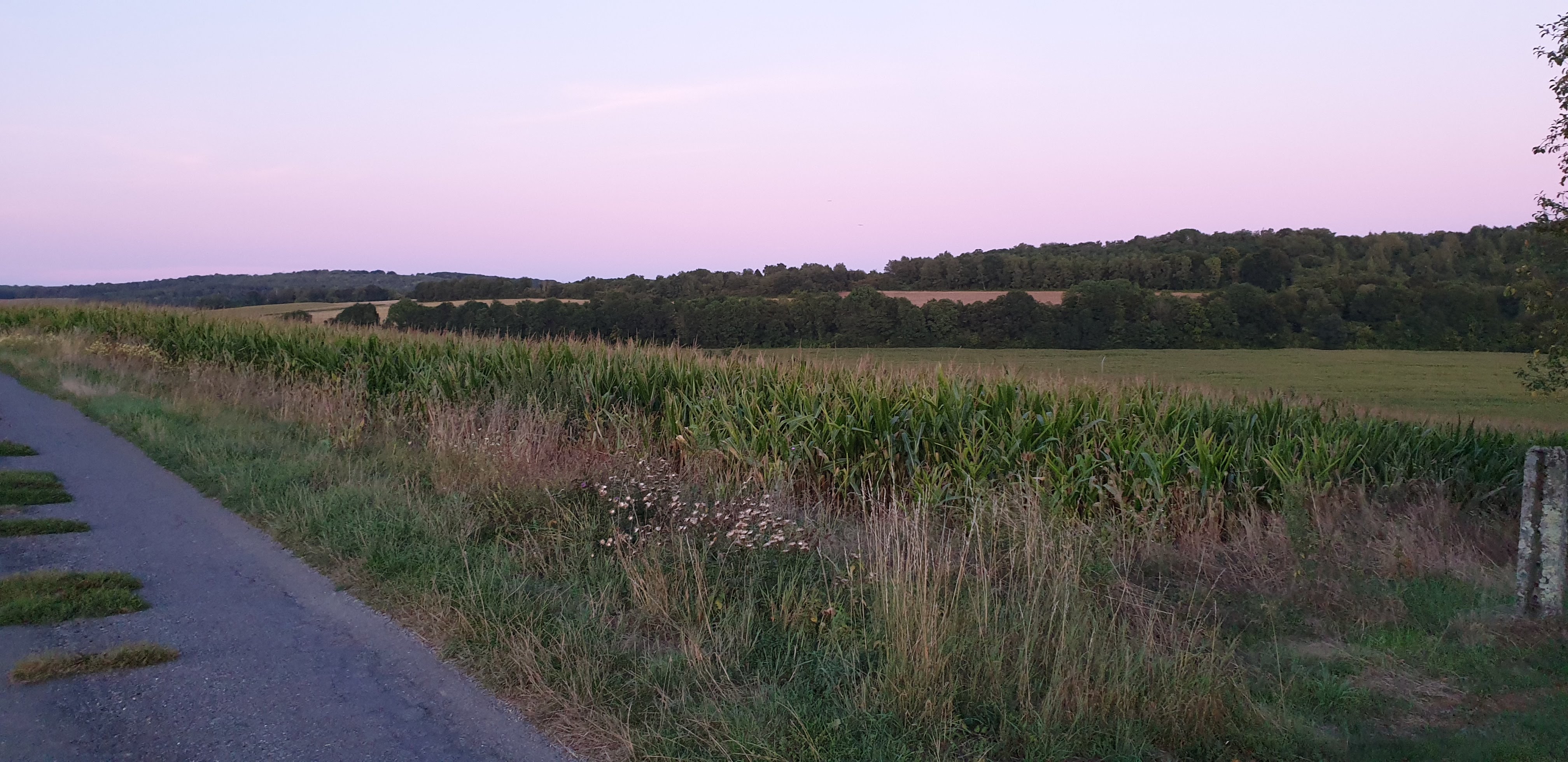 Photo n° 10 de l'avis de Gilles. fait le 28/08/2019 à 13:03