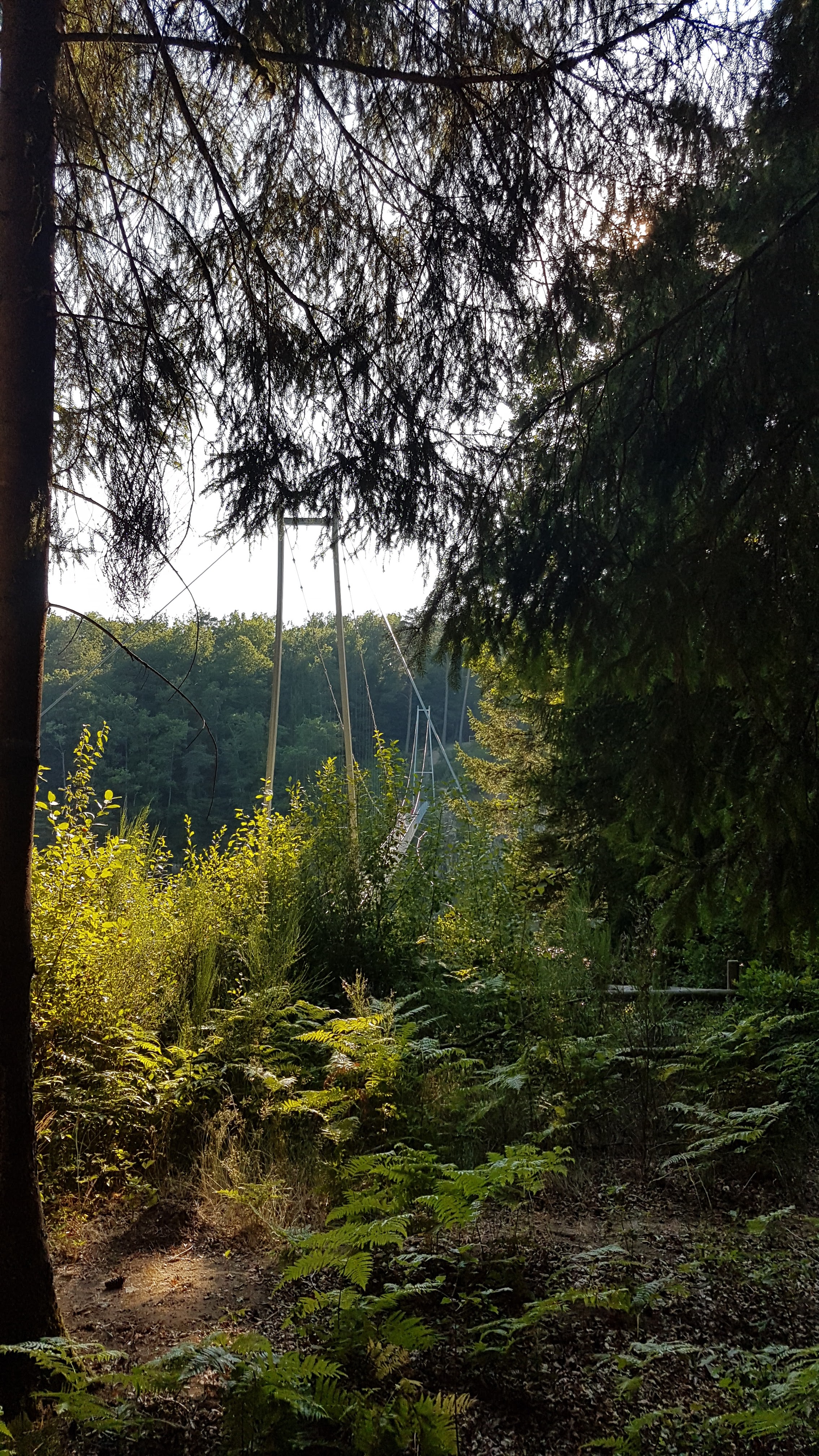 Photo n° 2 de l'avis de Olivier.o fait le 17/09/2019 à 15:54