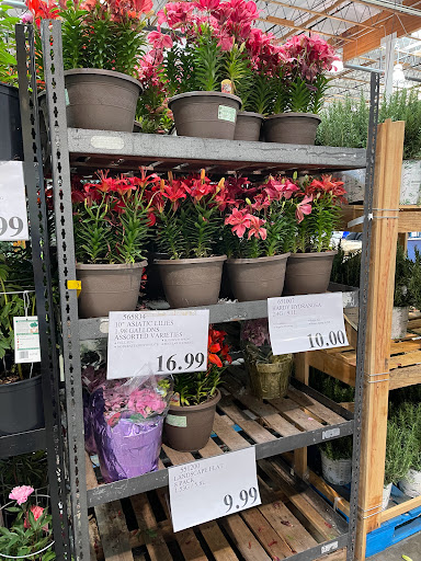 Warehouse store «Costco Wholesale», reviews and photos, 2828 Chad Dr, Eugene, OR 97408, USA