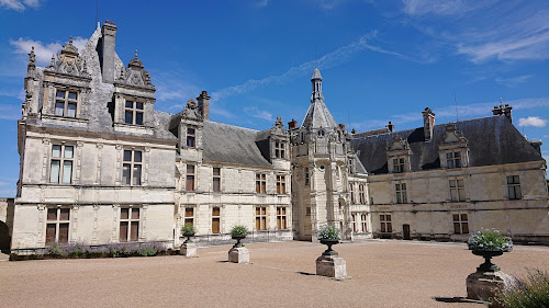 Château de Saint-Aignan-sur-Cher à St Aignan