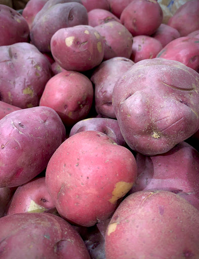 Grocery Store «Food Lion», reviews and photos, 2401 Colley Ave, Norfolk, VA 23517, USA